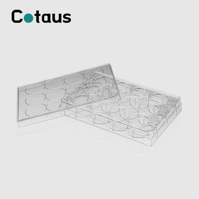 12 Zvakanaka Cell Culture Plate