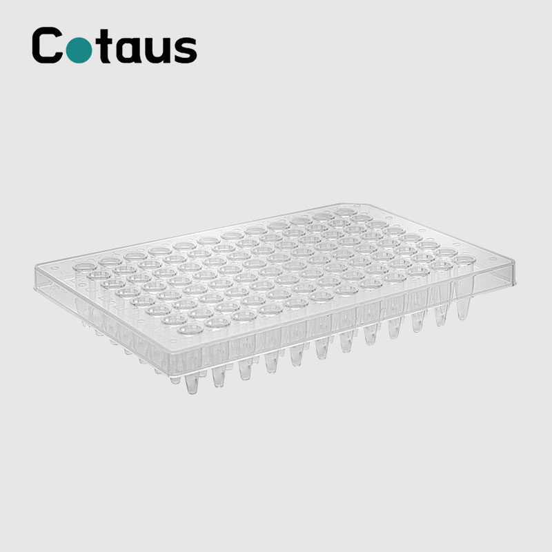 Chii chinonzi PCR plate