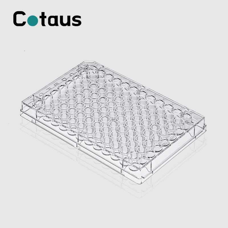 Isingabviswe Elisa Plate